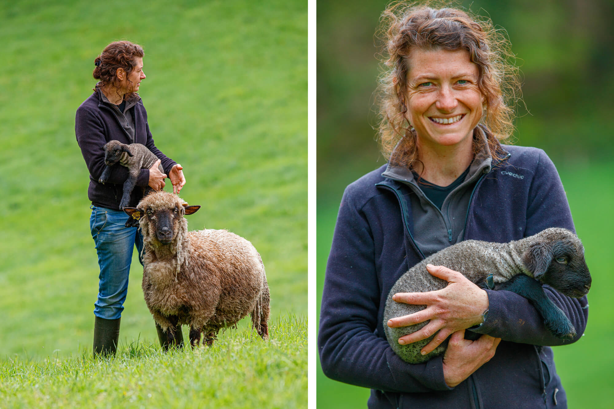 photos dans l'univers agricole d'un élevage de moutons en Bretagne par Antoine Duchene photographe