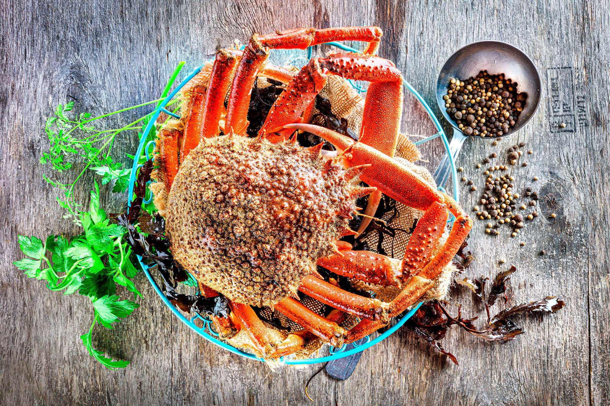 photo d'une Araignée de Bretagne pour le catalogue de produits de la mer d'un mareyeur par Antoine Duchene photographe