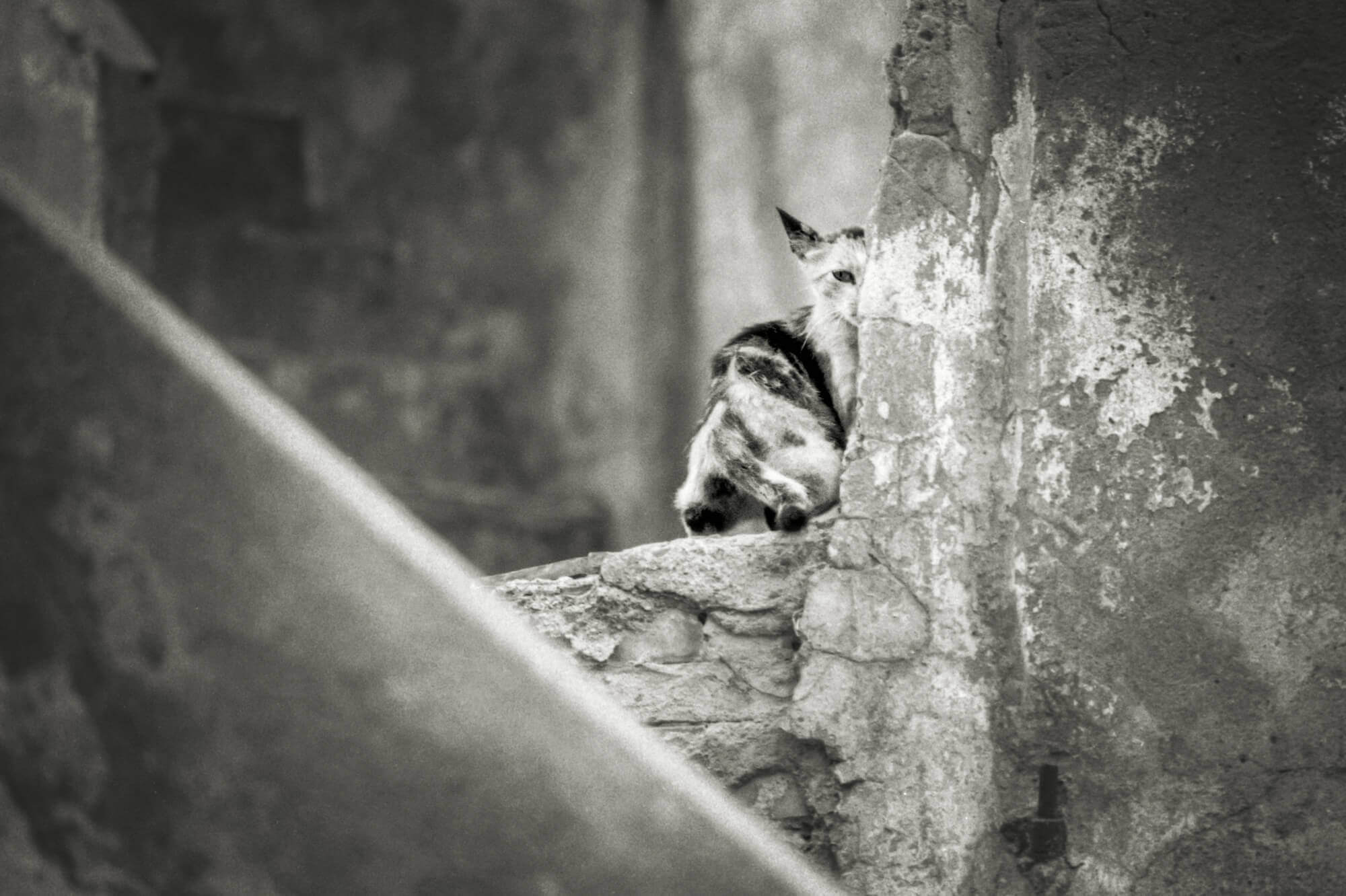 Street Photography, photo en noir et blanc au Leica, Canon et Nikon par Antoine Duchene photographe