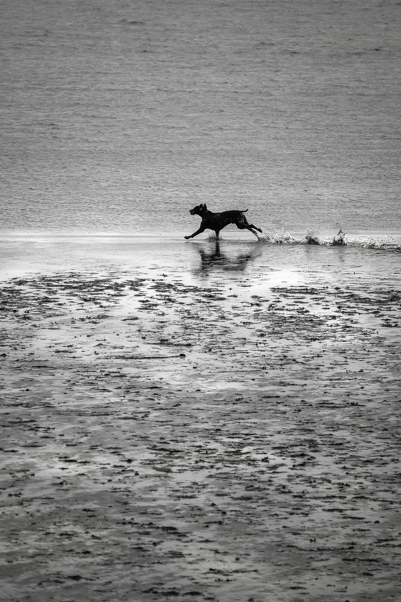Street Photography, photo en noir et blanc au Leica, Canon et Nikon par Antoine Duchene photographe