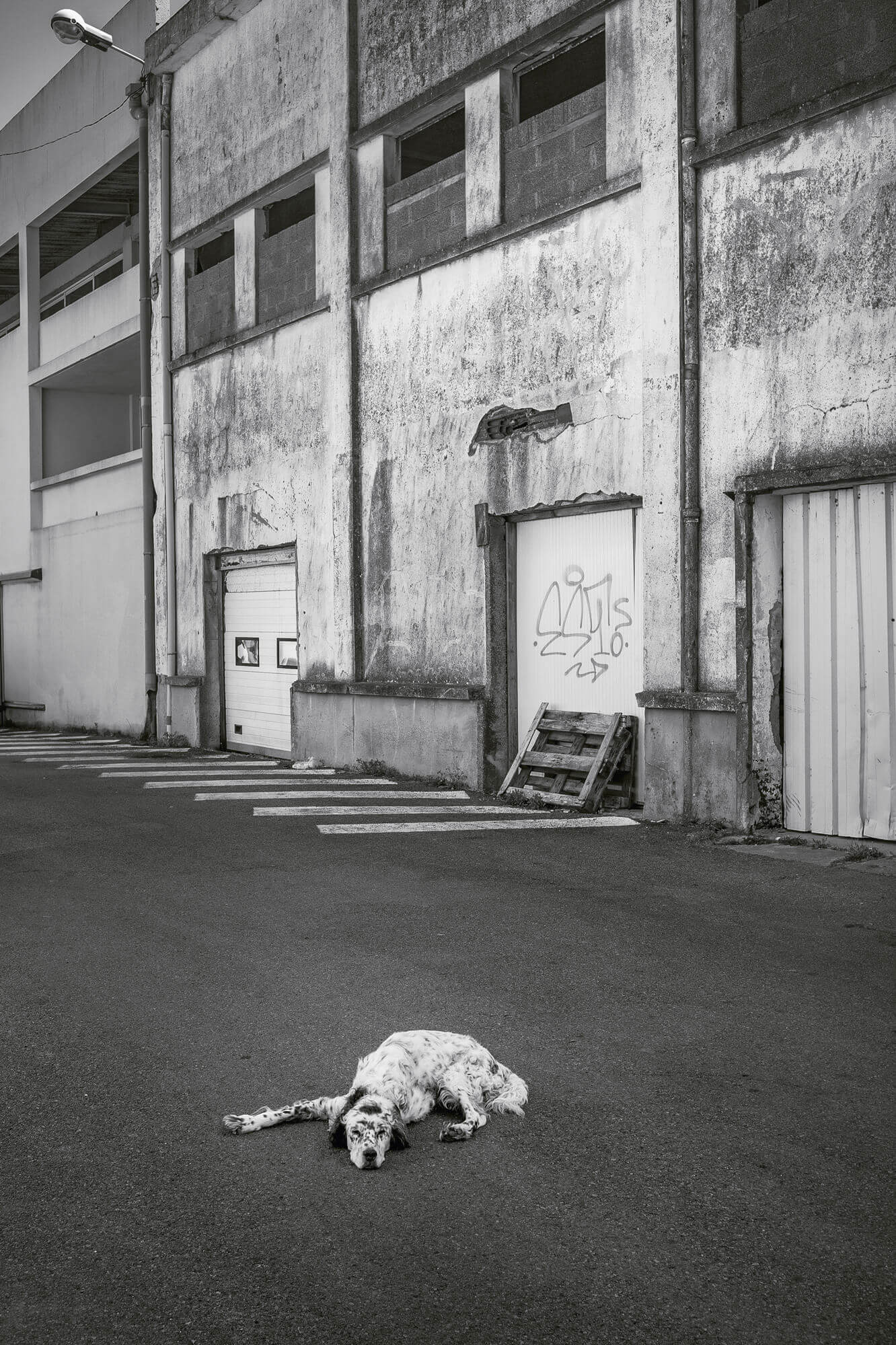 Street Photography, photo en noir et blanc au Leica, Canon et Nikon par Antoine Duchene photographe