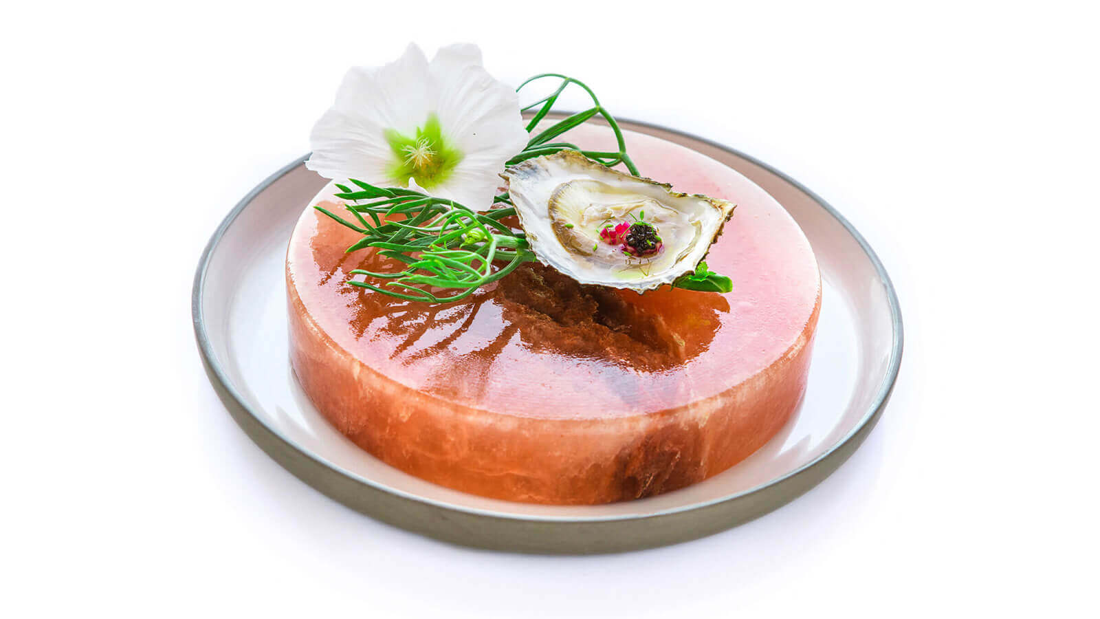 photo des créations d'un grand chef Meilleur Ouvrier de France par Antoine Duchene photographe